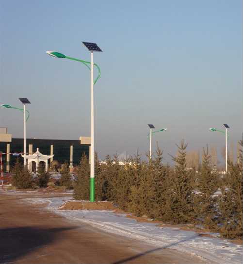 大足区黑龙江佳木斯村镇亮化工程